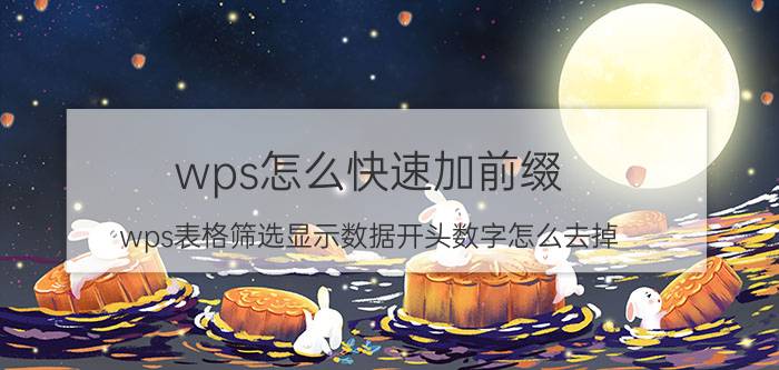 wps怎么快速加前缀 wps表格筛选显示数据开头数字怎么去掉？